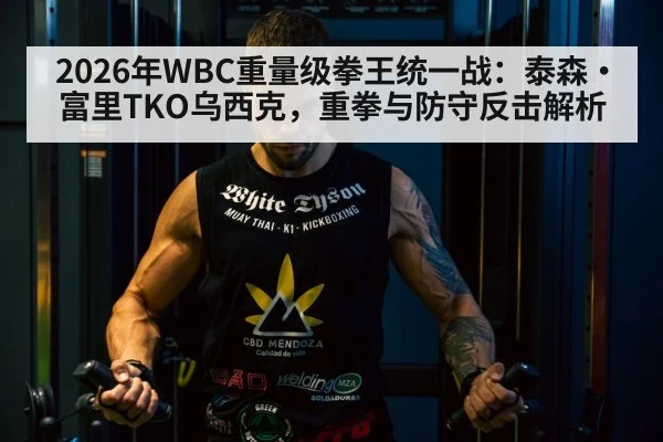 Tyson Fury boxing